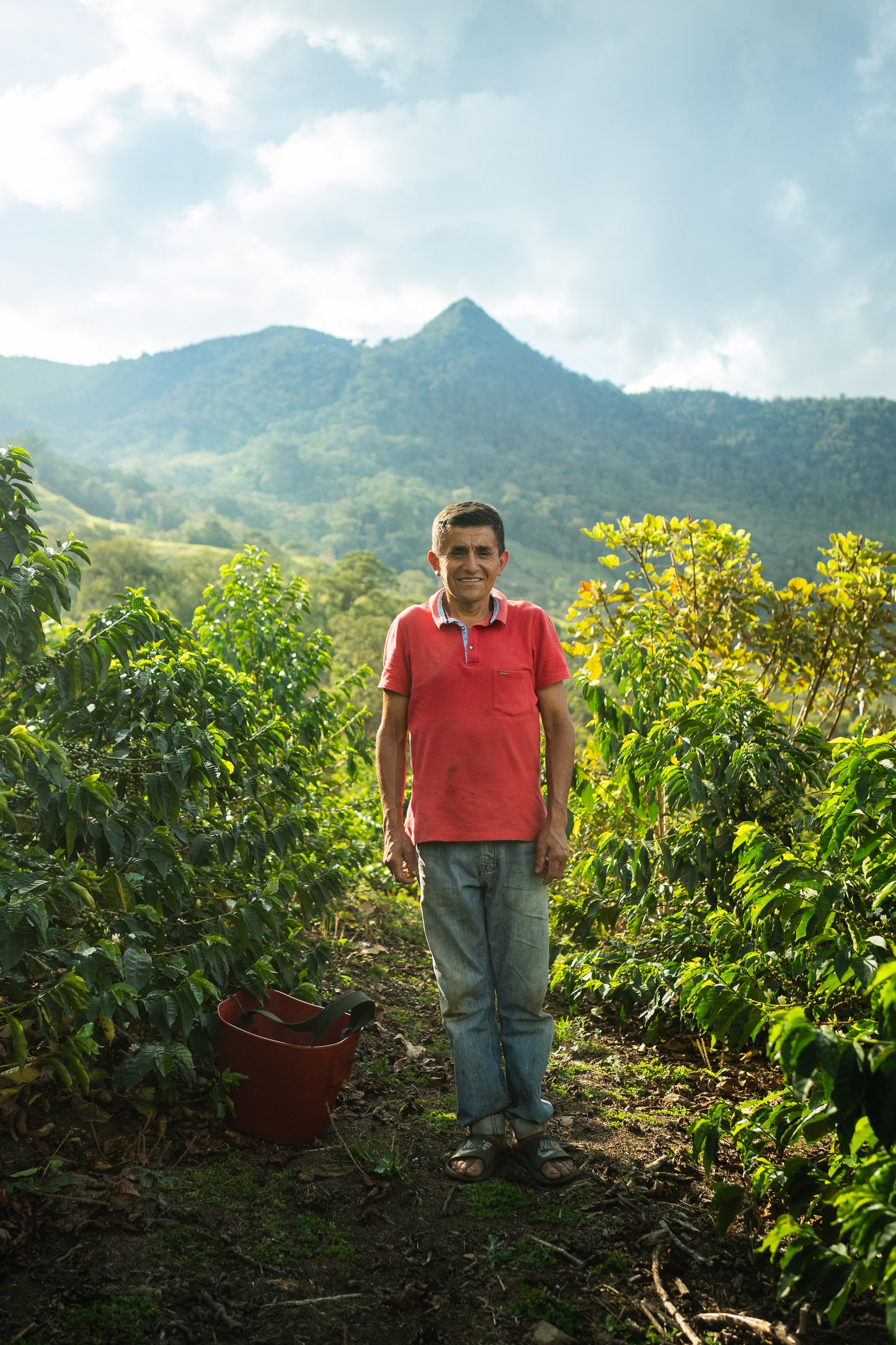 Modesto Chinguel | Bourbon | Peru | £26kg